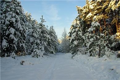 日服eShop《初音未来 歌姬计划 MEGA39's》 价格下调至163元