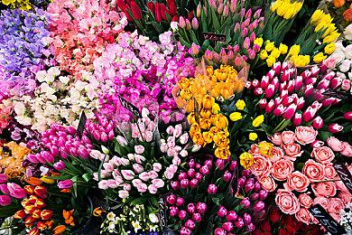 《皇家骑士团：重生》在澳获得评级 或将于11月11日发售